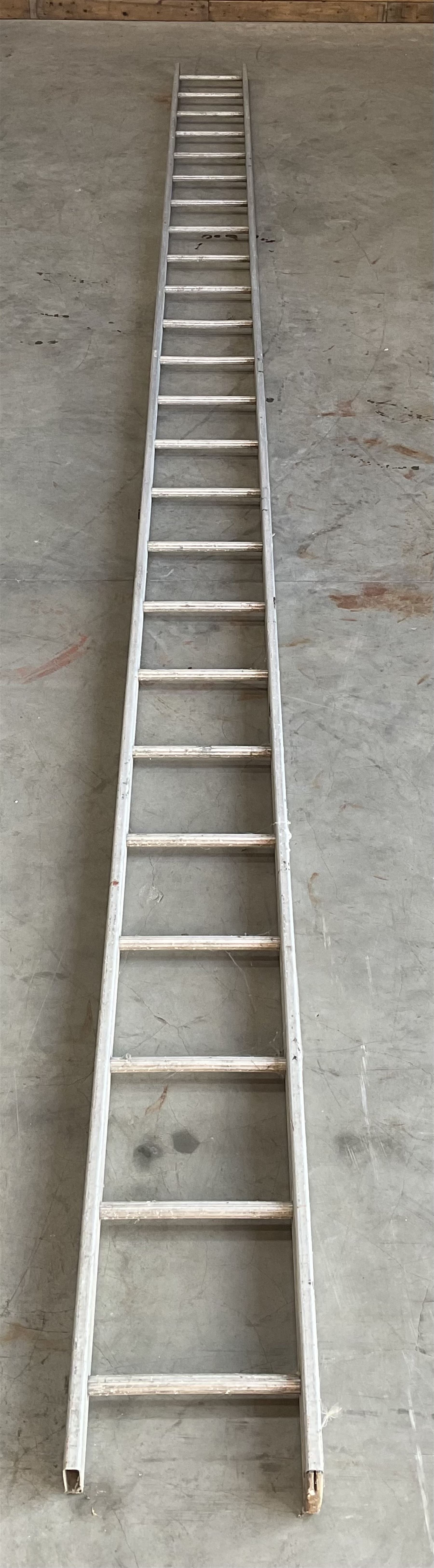Ramsay 24 rung 2.4m single ladder