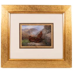 Carl Whitfield (British 1958-): Pair of Grouse in a Rocky Valley, oil on board signed 11cm x 16cm