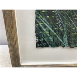 Kane Cunningham (British 1961-): 'Lake - Scampston Hall', watercolour signed with initials and dated '10, titled verso 28cm x 38cm