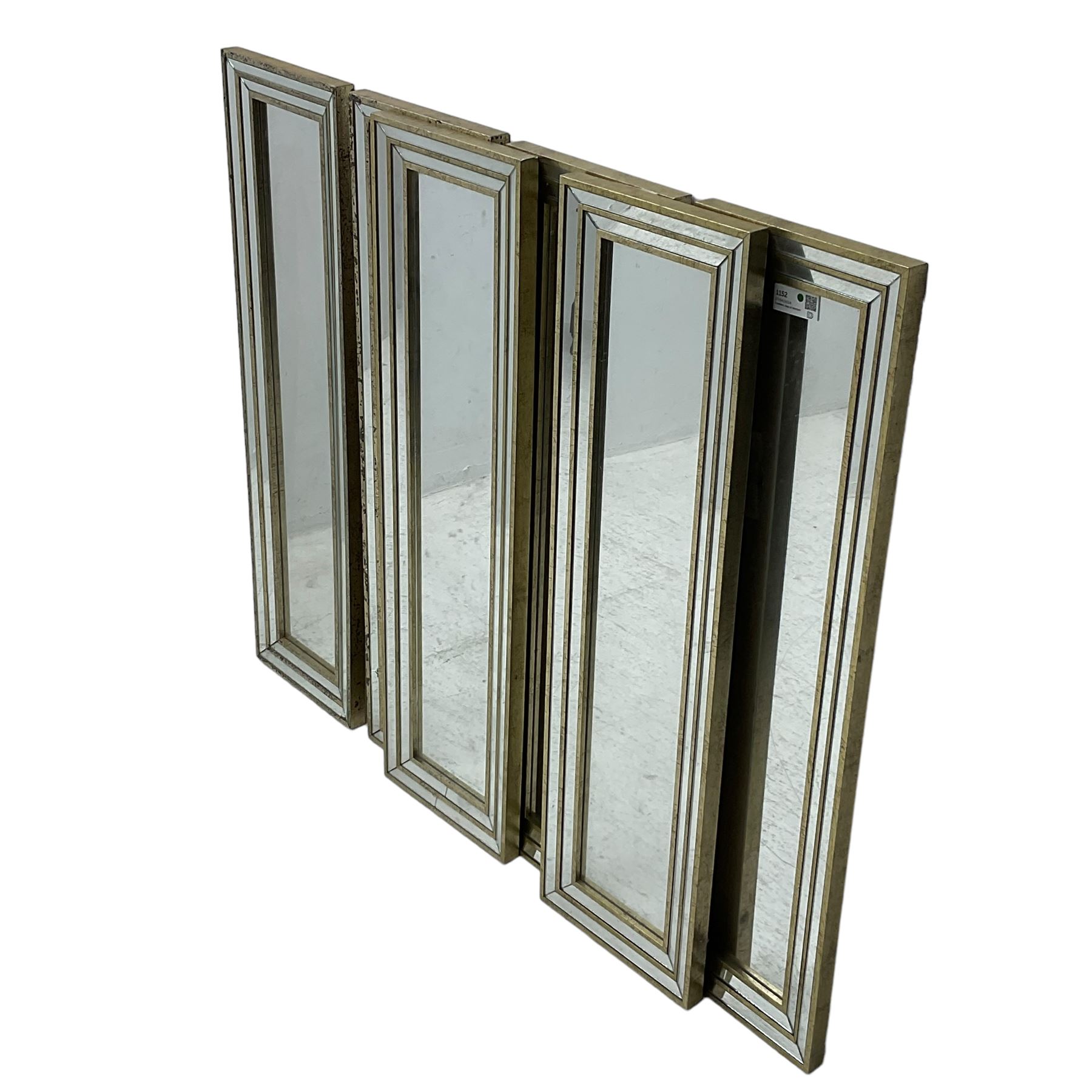 Six narrow rectangular wall mirrors