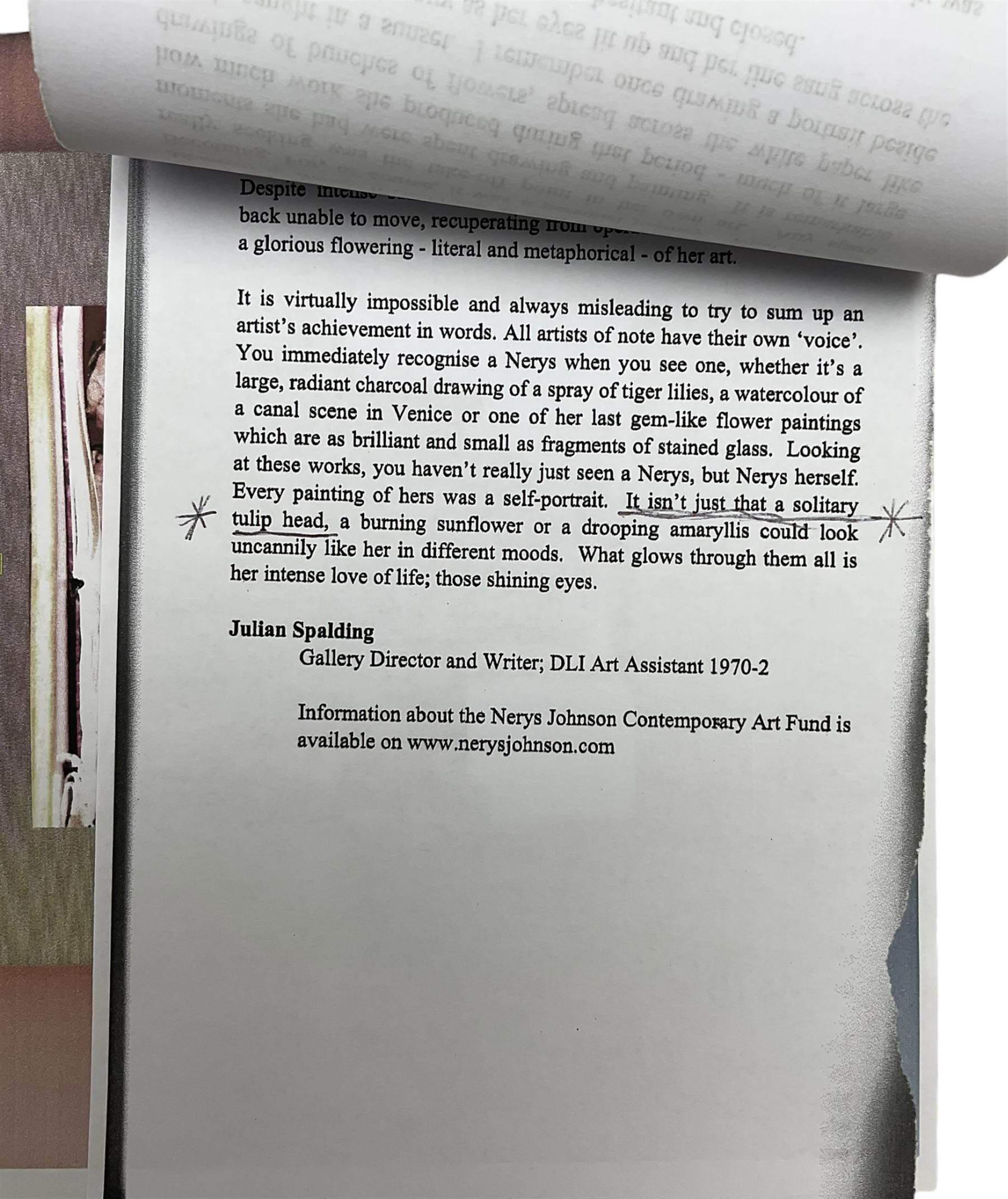 Nerys Ann Johnson (Welsh 1942-2001): Irises, watercolour and ink signed with initials and dated '99, 18cm x 10cm 