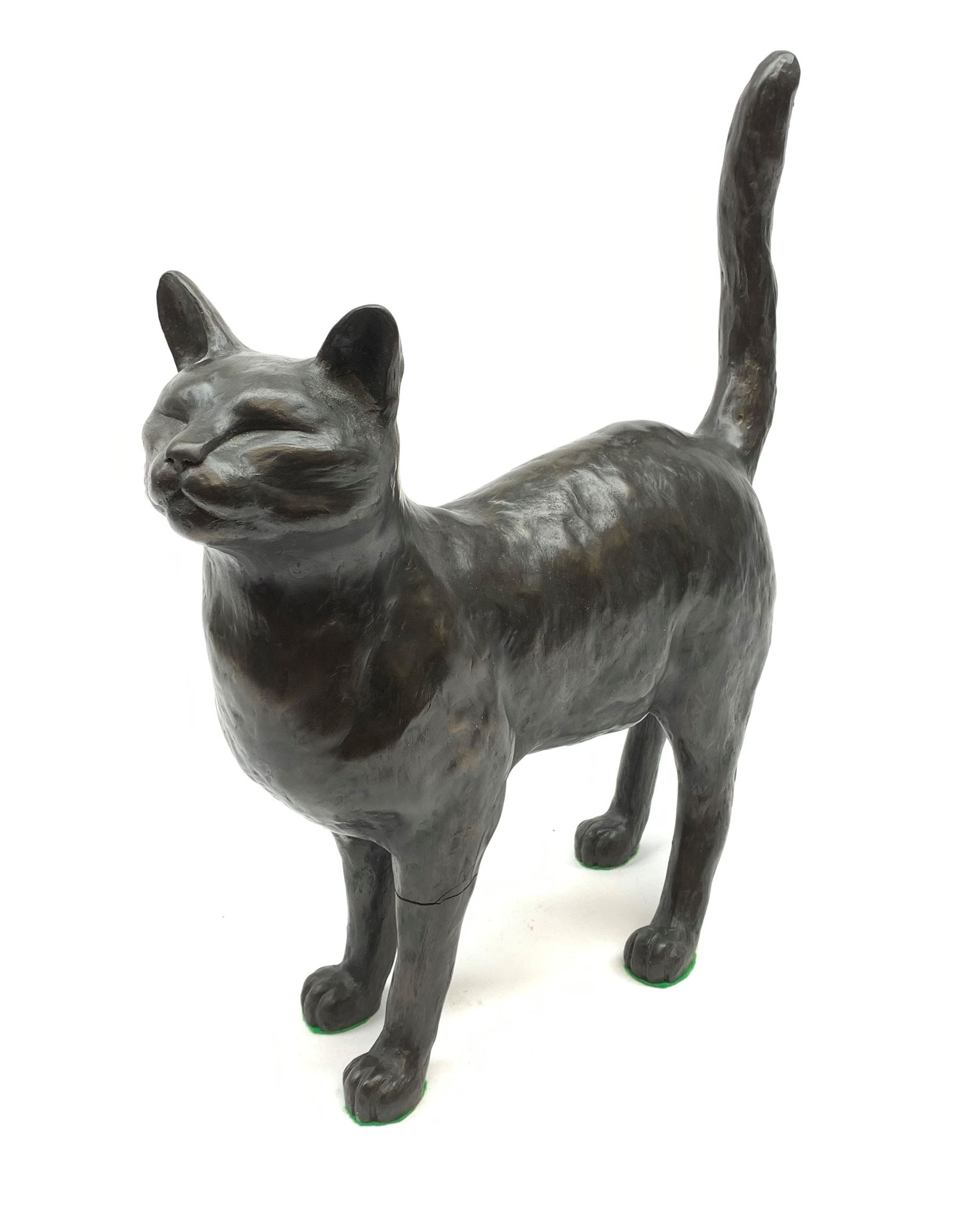 A large limited edition bronzed model of a cat, signed Peter Close 271/500, H42cm.