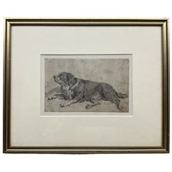 Attrib. James Ward (British 1769-1857): Study of an Alpine Mastiff, pencil and sepia wash unsigned 11.5cm x 18cm