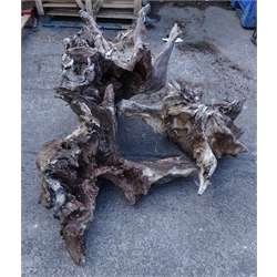  Three pieces various weathered tree stump,   