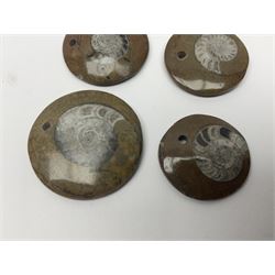 Six goniatite circular pendents, D3cm