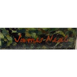 James Neal (Northern British 1918-2011): 'Houses in Victoria Avenue Hull', these are the houses opposite where the artist lived at number 205, oil on board signed, 20cm x 24cm
Provenance: East Yorkshire private collection purchased from the artist; exh. Royal Academy Summer Exhibition 1965, No.764. Neal was accepted at St Martin's School of Art in 1932, aged 14. In 1958 he moved to Hull as Lecturer in Painting and Drawing at Hull Regional College of Art, then becoming Senior Lecturer in the History of Art. Over the next fifty years he became well known for painting scenes around the Hull area. Ferens Art Gallery, has twice mounted major retrospective exhibitions of James Neal's work