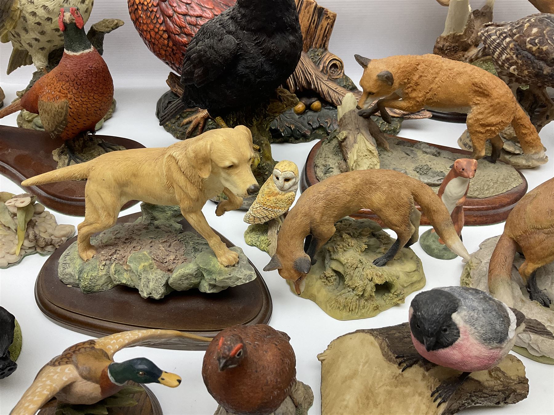 British wildlife, dogs and other animal figures, to include examples by Border Fine Arts, Teviotdale and David Hughes, etc