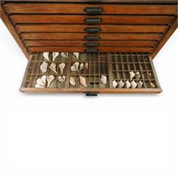 20th century oak printers cabinet, the rectangular top over a bank of twelve shallow drawers each fitted with a metal label handle, the drawers internally compartmentalised and containing an assortment of shells, raised on a shaped plinth base