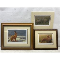 Robert E Fuller (British 1972-): 'Winter Hare', 'Squirrel Of Formby', and 'Leverets at Givendale', three limited edition colour prints signed and numbered 40/850, 56/850, and 270/850, respectively, max 23cm x 32cm (3)
