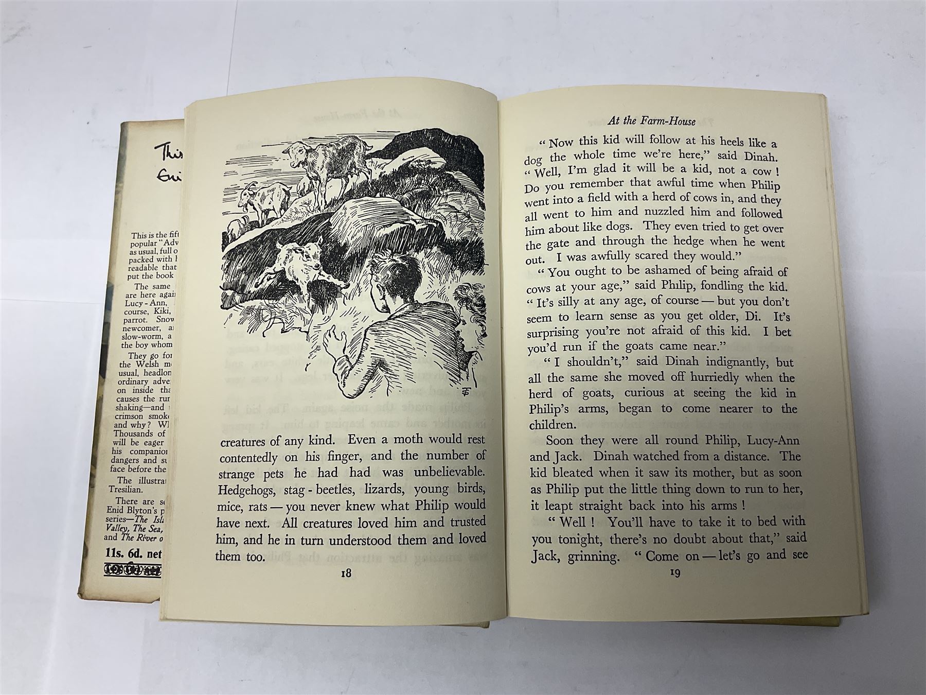 Enid Blyton; The Adventure Series, complete set of the eight children's mystery novels, all in original pictorial cloth