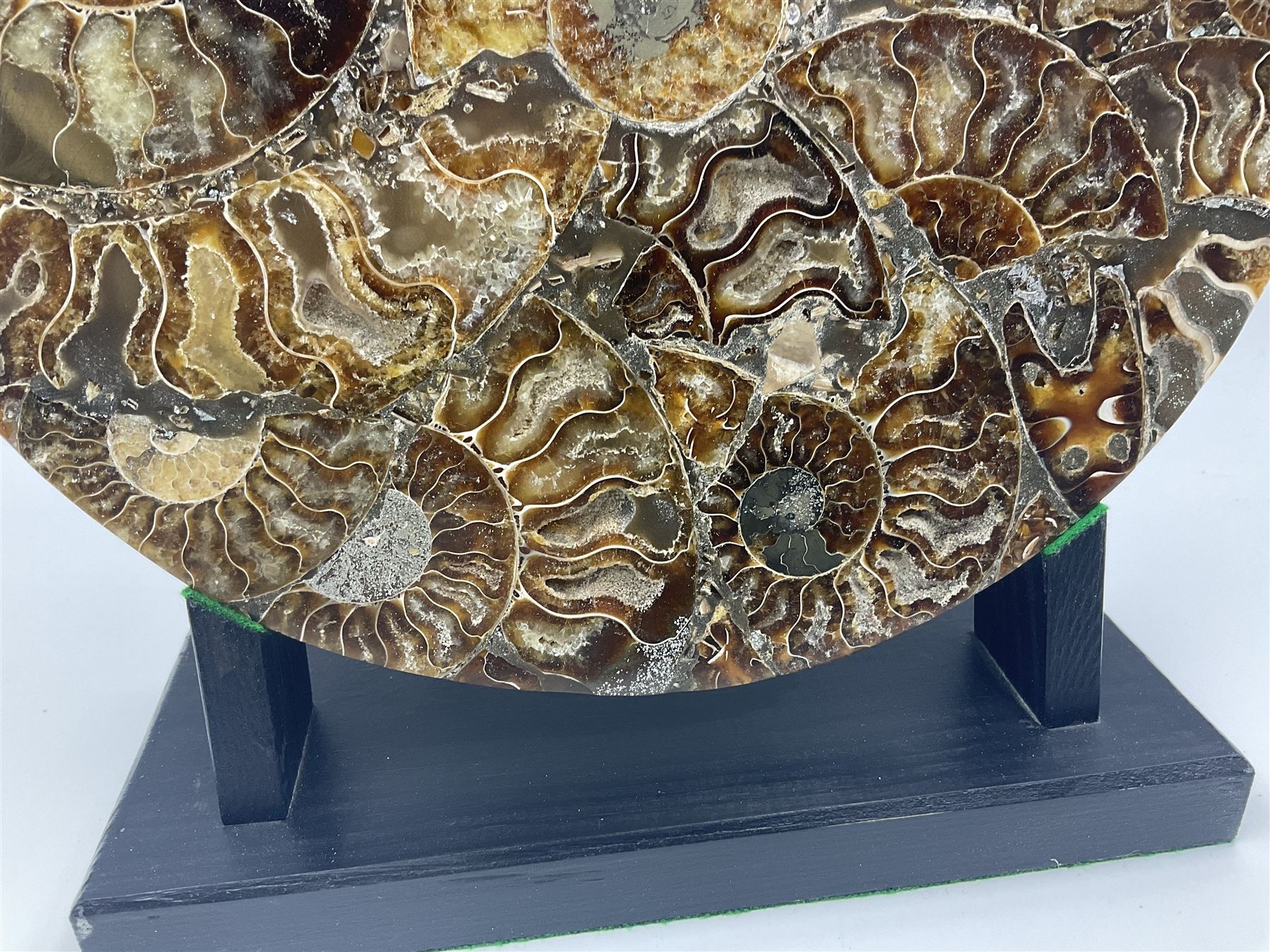 Polished ammonite plate, formed of individual ammonites age; Jurassic period, upon an ebonised stand, D27cm