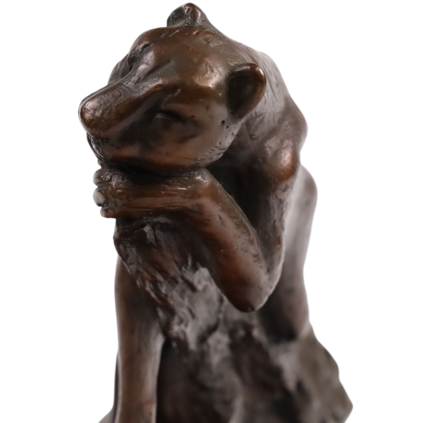 Bronze modelled as a cougar on a branch upon a rectangular wooden plinth, H24cm
