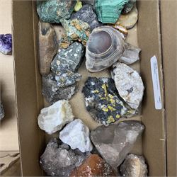 Large private collection of minerals and fossils including, Malachite, Azurite, Amethyst, agate, coprolite (fossilised excrement) etc 