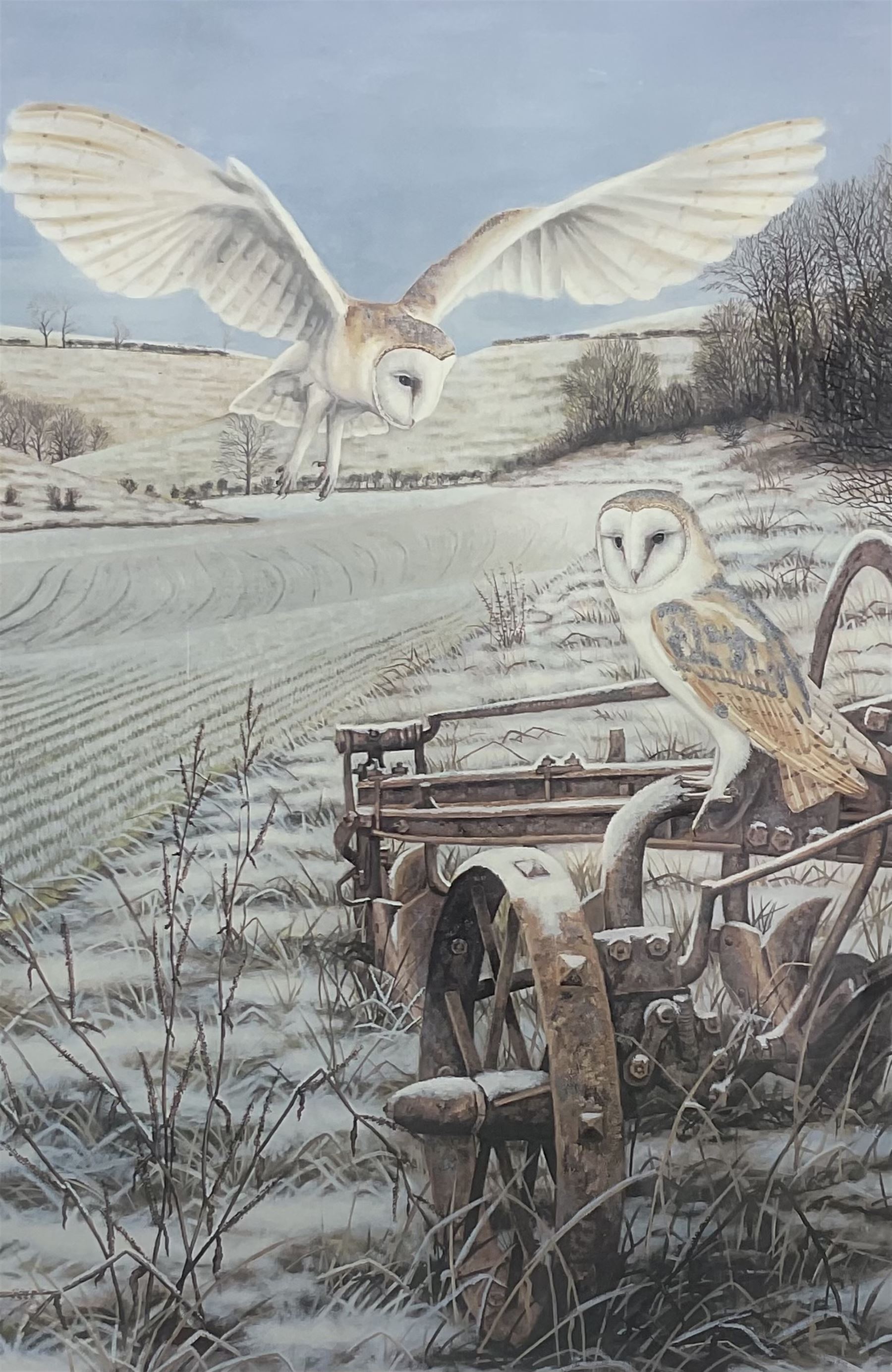 Robert E Fuller (British 1972-): 'Barn Owls at Thixendale', limited edition colour print signed and numbered 61/300 in pencil 55cm x 37cm