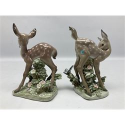 Two Lladro deer figures, comprising A Fawn and Friend no 5674 and Hi There no 5672, both with original boxes, largest example H14.5cm