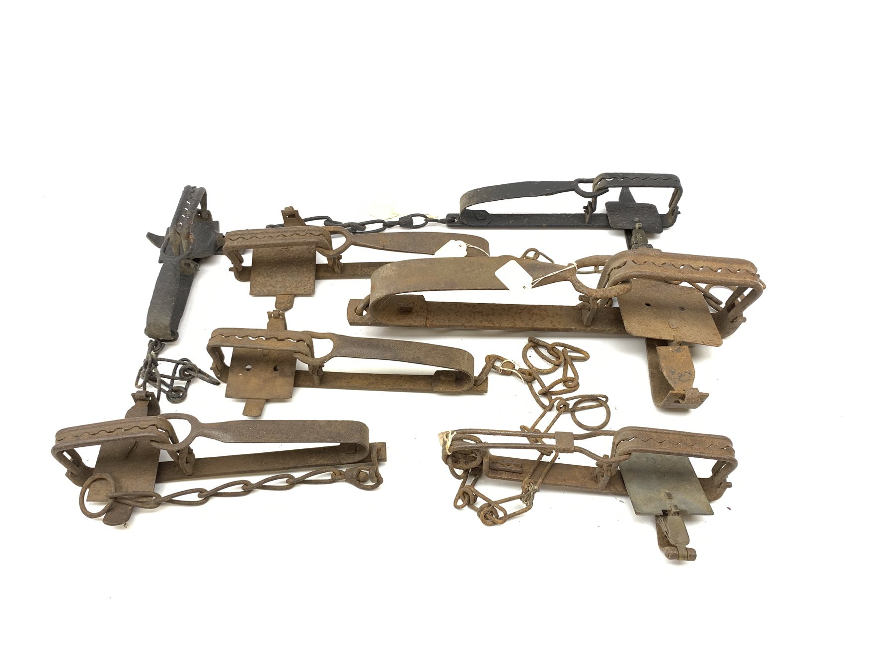 Seven gin traps including H. Lane Victor, 'Lion', Dorset rabbit trap, Sidebotham Gamekeeper's fox trap, A. Macrae 90 etc. Auctioneer's Note: These traps are sold as artefacts for ornamental purposes only as the use of some of them is illegal.