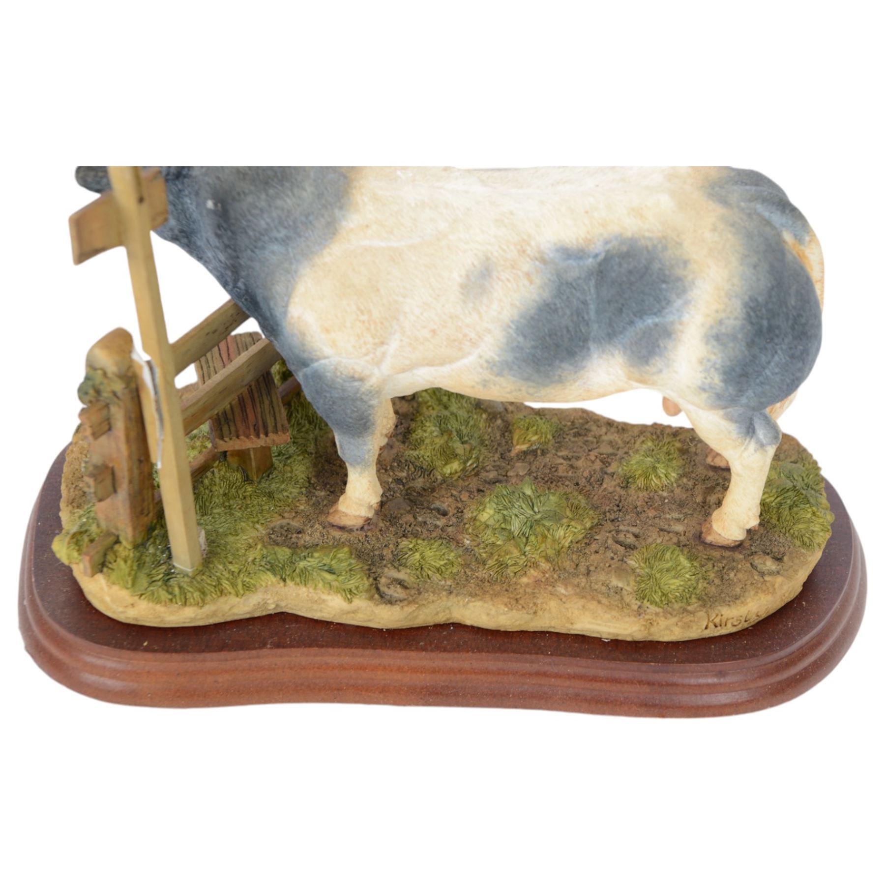 Two Border Fine Arts bull figures, comprising Belgian Blue Bull No A8953 and Limousin Bull No A9788