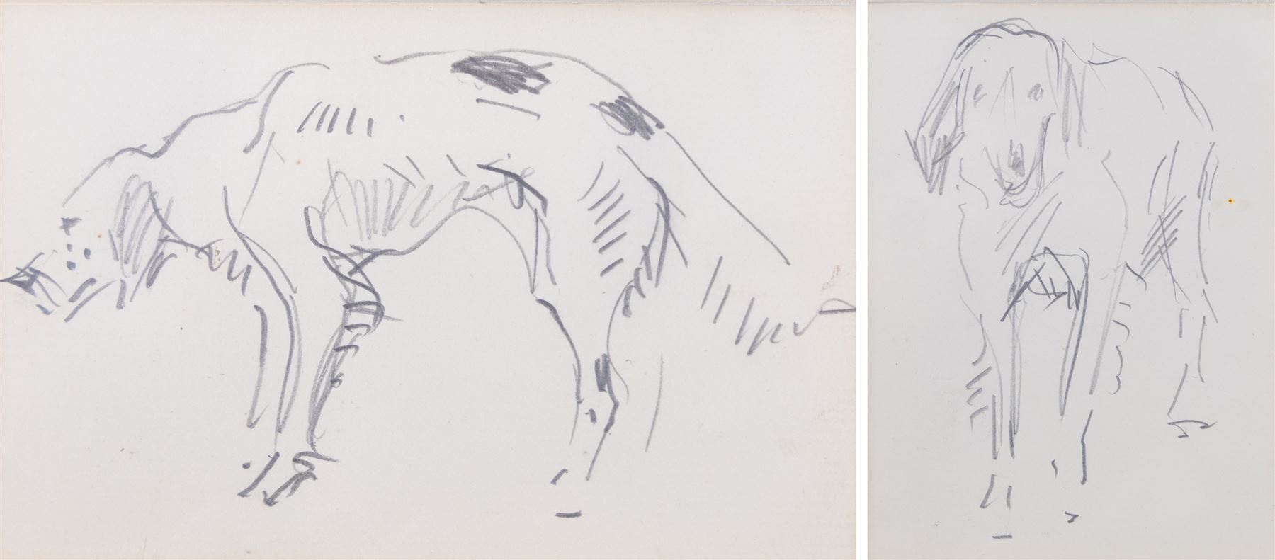 John Atkinson (Staithes Group 1863-1924): Studies of Dogs, two pencil sketches unsigned 7.5cm x 12cm 
