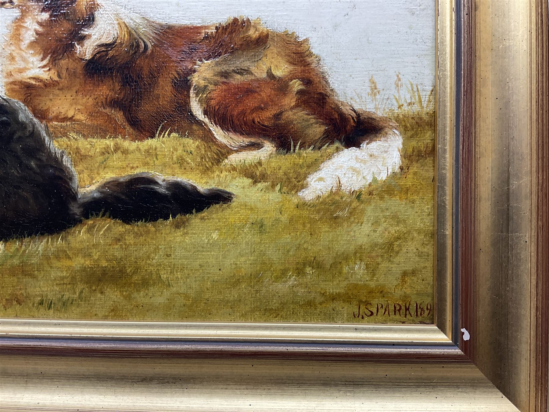 JS Park (British 19th Century): Border Collies, oil on board signed and dated 1895, 20cm x 39cm 