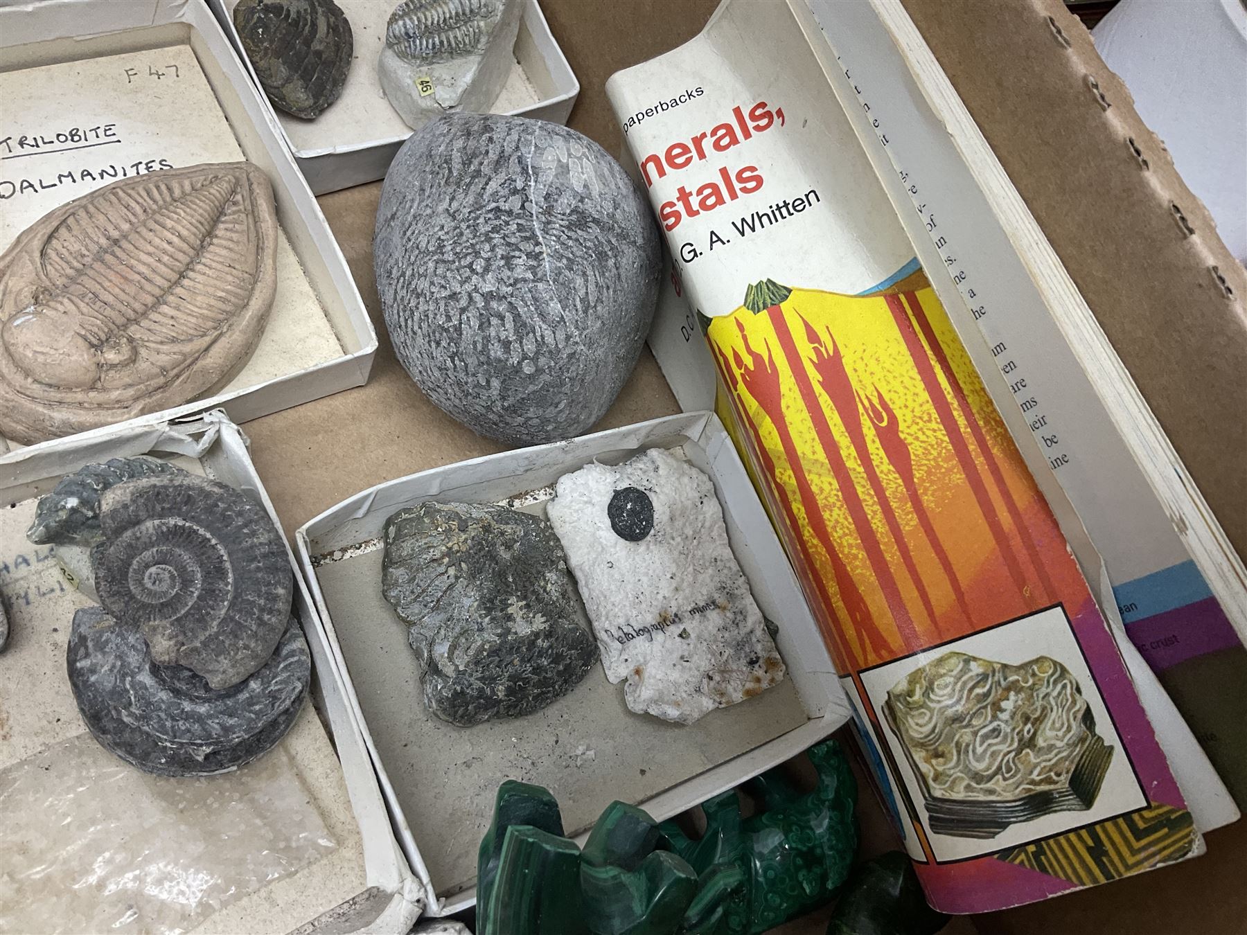 Natural history; Collection of rock and mineral specimens to include muscovite, sphalerite zinc blende, breccia, migmatite, fluorite etc, housed in a wood box, some named 