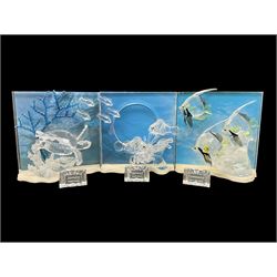 Swarovski Crystal, Wonders of the Sea Trilogy: 'Eternity', 'Community' and 'Harmony', all with stands and plaques, H20cm