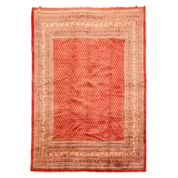  Araak red ground rug, field filled with boteh with a graduated multicoloured striped geometric border, 364cm x 270cm  