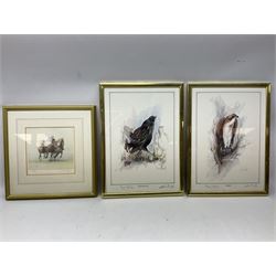 After Ben Maile (British 1922-2017): 'Blackcock' and 'Osprey', pair colour prints signed in pencil together with a print of a Terrier after Mick Causton and three horse related prints max 40cm x 28cm (6)