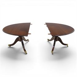 Gott's Pickering - Quality Georgian design rosewood twin pillar extending dining table, with additional leaf, oval form raised on turned columns with tripod legs on cast brass sockets and castors, complete with brass coupling forks, length 164cm without leaf