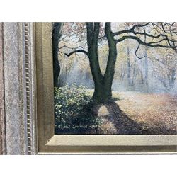 Neil Spilman (British 1951-): A Woodland Path, oil on canvas signed and dated 2003, 20cm x 30cm