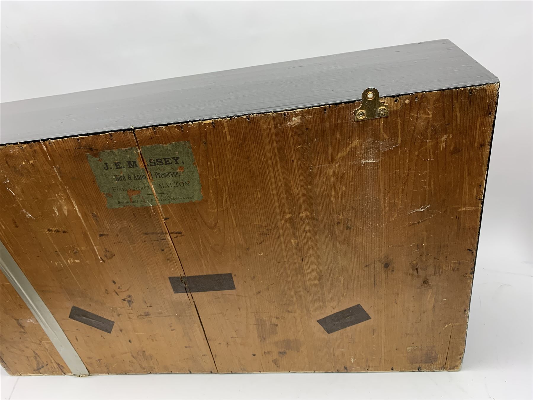 Taxidermy: female Goosander (Mergus Merganser), male Green Wing Teal Duck (Anas Carolinensis), and Little Grebe (Tachybaptus Ruficollis), in naturalistic setting detailed with long grass, set against a painted cream backdrop, encased within an ebonised single pane display case, with taxidermist paper label verso detailed J E Massey, Finkle Street, Malton, H50.5cm W89cm D21cm