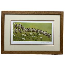 Robert E Fuller (British 1972-): 'Tree Sparrows', limited edition colour print signed and numbered 41/850 in pencil 15cm x 31cm
