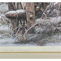 Robert E Fuller (British 1972-): 'Barn Owls at Thixendale', limited edition colour print signed and numbered 61/300 in pencil 55cm x 37cm