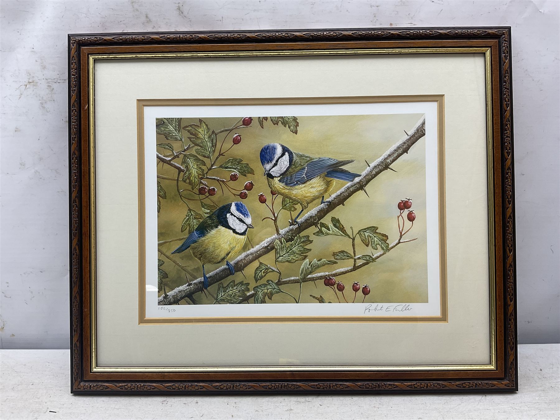 Robert E Fuller (British 1972-): Swan and Blue Tits, two limited edition colour prints signed and numbered 138/200 and 102/850 in pencil max 23cm x 32cm(2)