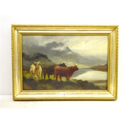 H R Hall (British 1866-1902): Highland Cattle, oil on canvas signed and dated '90, 38cm x 60cm  