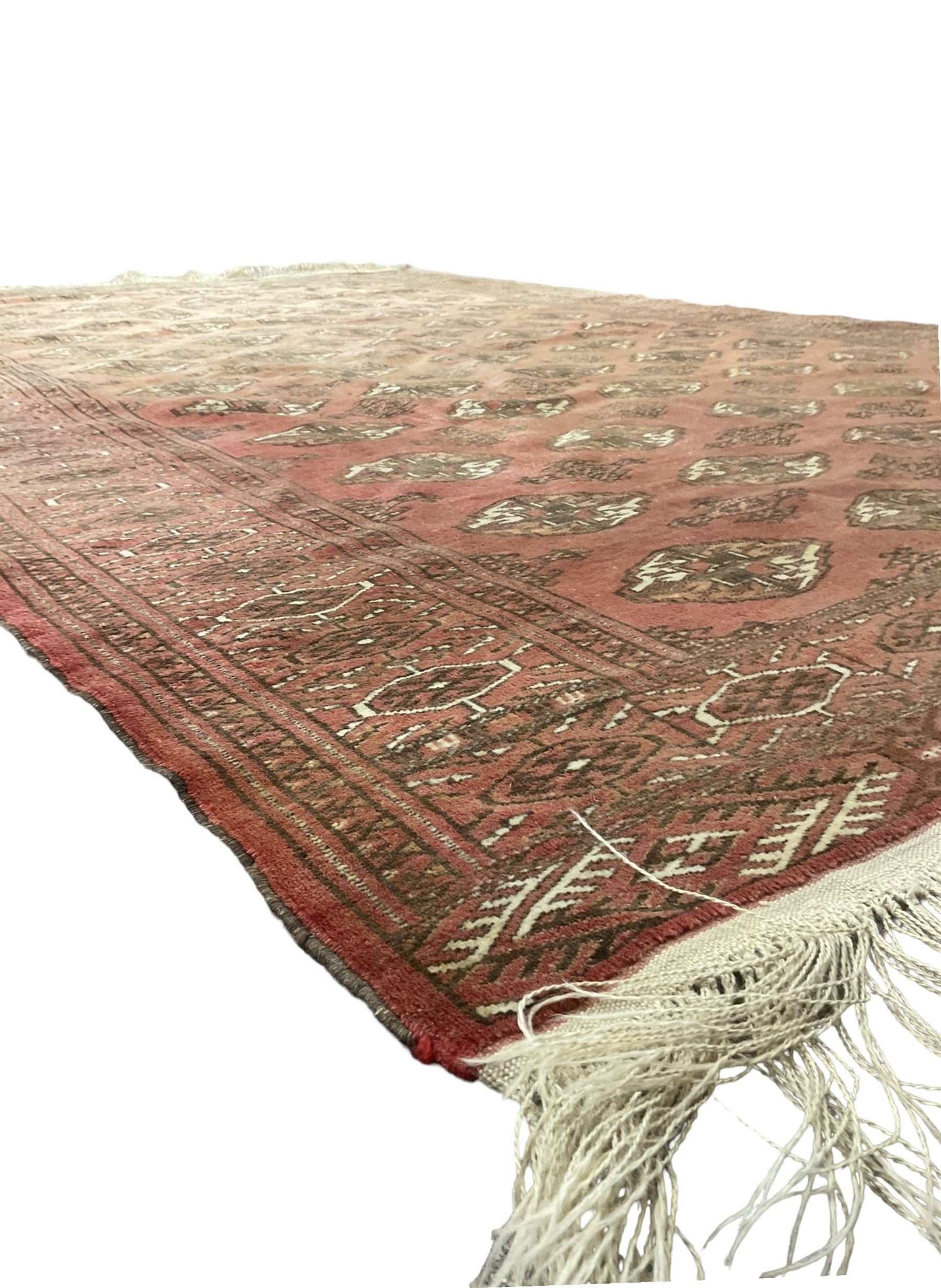 Afghan Bokhara red ground rug, the field decorated with five rows of Gul motifs, guarded border decorated with lozenges and geometric pattern 