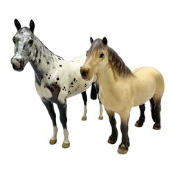 Two Beswick figures of horses, comprising  Mackionneach Dun highland pony, model no 1644, together with Appaloosa stallion, model no 1772,  both designed by Arthur Gredington, and with printed marks beneath