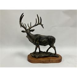 Bronzed cast metal figure of a stag upon a naturalistic base, raised on a wooden plinth, H47cm