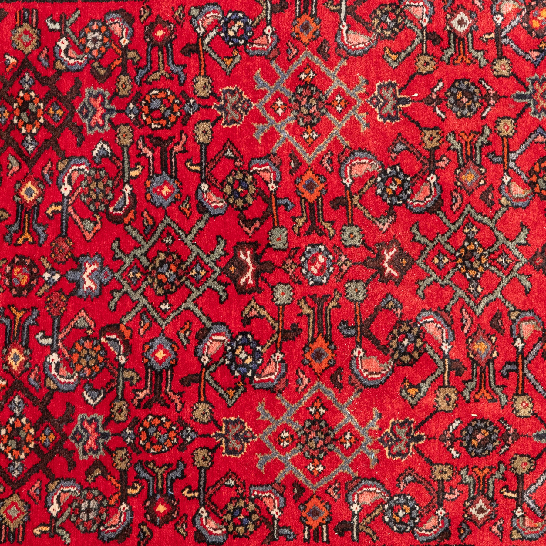 North West Persian runner, the red field decorated with an all-over Herati pattern of diamond lattice motifs, rosettes and serrated leaves, ivory floral spandrels, enclosed by an indigo palmette border and narrow floral guard bands