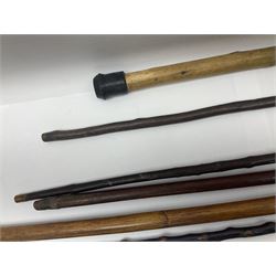Collection of walking sticks including silver collared example and horn handles, largest L92cm 