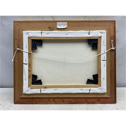 Richard Blowey (British 1947-): View Over a Cove, oil on canvas signed 29cm x 39cm