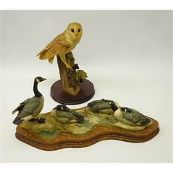  Border Fine Arts limited edition model 'Canada Geese' by Richard Roberts 62/1500 on wooden plinth no. PS06, L38cm & 'Barn Owl' no. RB15 by Ray Ayres, H24cm (2)  