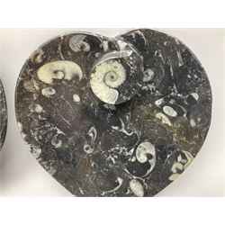 Pair of dishes in the form of hearts with a raised Goniatite to the centre and Orthoceras and Goniatite inclusions, age: Devonian period, location: Morocco, D16cm