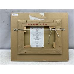 Catherine Tyler (British 1949-): 'Costa Brava', oil on canvas signed and dated '02, 24cm x 32cm 
Provenance: awarded the 2006 Chelsea Art Society Award for a Painting