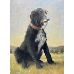 Jon Peaty (British 1914-1991): 'Sir George' - Portrait of a Dog, oil on canvas unsigned, titled verso with artist's studio label 60cm x 44cm