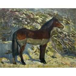 Thomas Sherwood La Fontaine (British 1915-2007): Exmoor Pony in the Snow, oil on canvas signed 39cm x 49cm