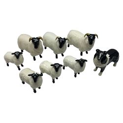 Seven Beswick figures of sheep comprising three ewes and four lambs, together with a figure of a sheepdog (8)