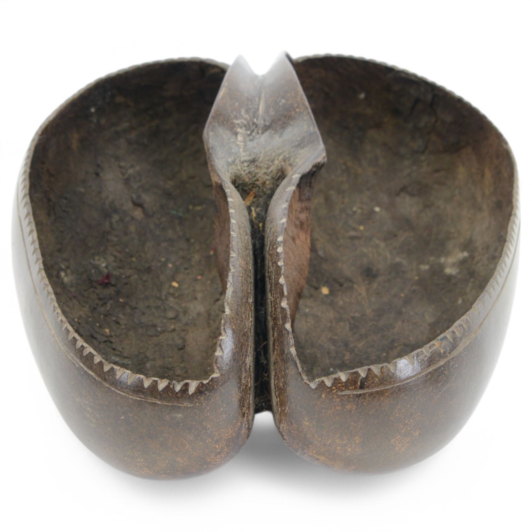 Coco de Mer shell | Fossils, Minerals & Natural Sciences | 128150