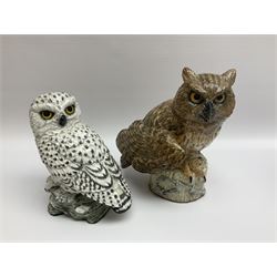 Four Coalport RSPB birds, together with Aynsley  Otter, Winter Stoat and other animal figures 