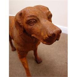  Cast iron Labrador figure, L91cm  