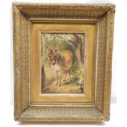 Susan Maud (British 20th century): 'Pip' - Portrait of a Terrier, pastel signed titled and dated '99, 43cm x 32cm, and a 19th century watercolour of a donkey 20cm x 15cm